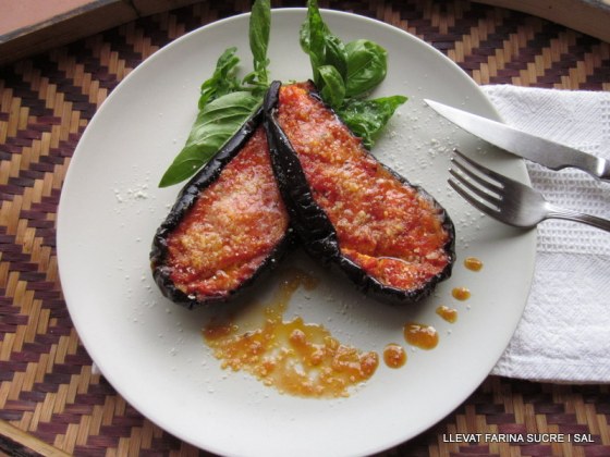 Albergínies octubre 003