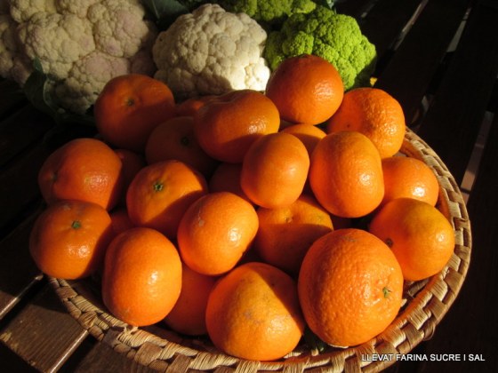 Verdures Deltebre 009