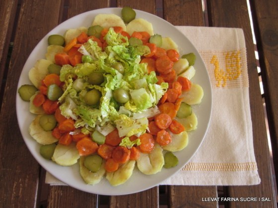 Verdures Deltebre 021