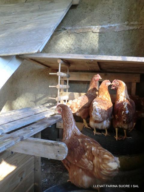 14483_470934222944995_1535031924_n