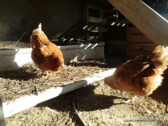 44899_470934282944989_323057652_n