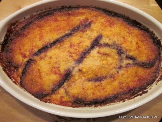 22 de febrer 2013 068