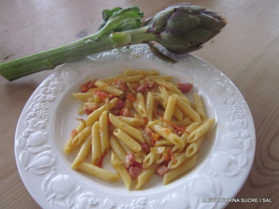 Tossa de Mar 6 Febrer 2013 carnestoltes d'Ozieri banda Eric 162