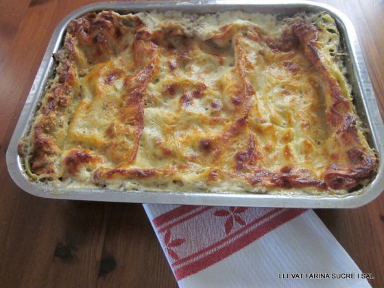 Tossa de Mar 6 Febrer 2013 carnestoltes d'Ozieri banda Eric 244