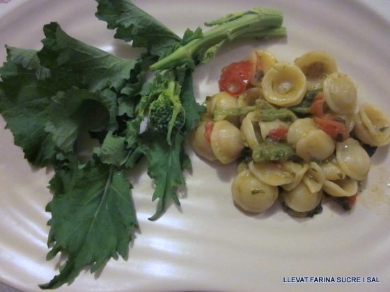 tossa-de-mar-6-febrer-2013-carnestoltes-dozieri-banda-eric-2851