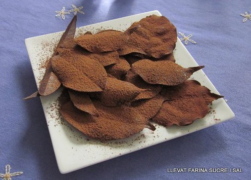 fulles-e1362673480903