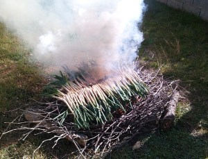 IMG_20130302_142611 (1)