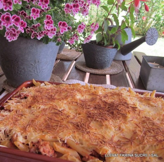 Coses de la cuina 088