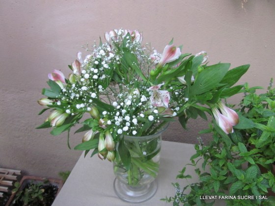 ANIVERSARI CARLA, CANAPÉS PASTISSOS, VERDURES BANY MOCTURN 029