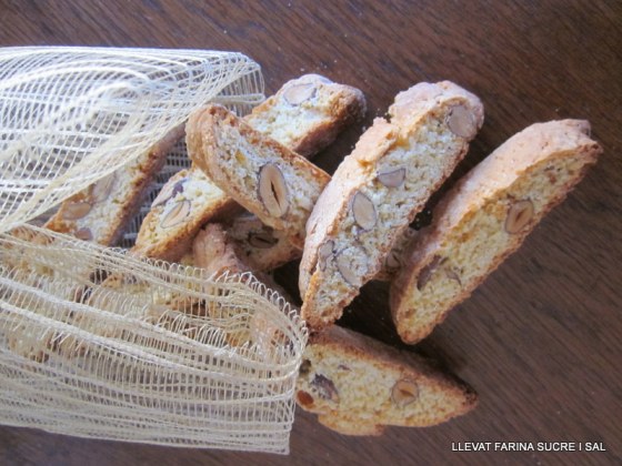 Arc de Sant Marti- Carquinyolis- Tulipes rosa Erico per la mare. 009