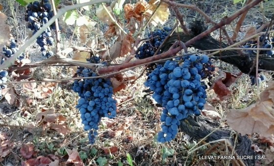 1-2014-10-03 15.54.06